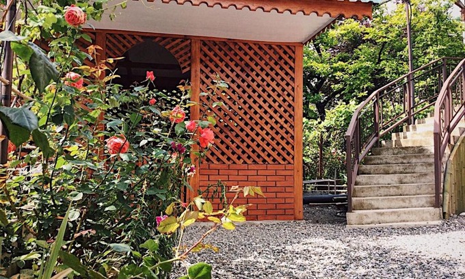 Gagra House | Guest House Elmas