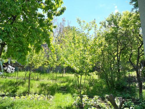 Akhaltsikhe House | Guest House