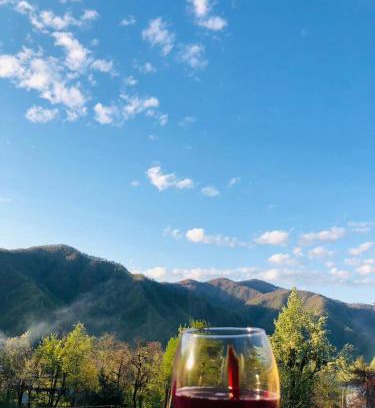 Adjara House | Guest House in the mountaims Gocha