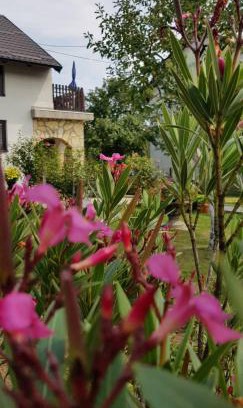 Korenica House | Guest house Ruza
