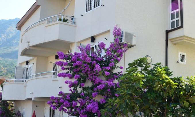 Dobra Voda House | Guest House Villa Alea