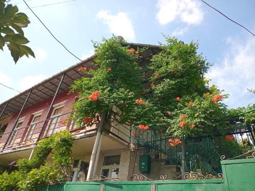 Kutaisi Apartment | Guest of apollo
