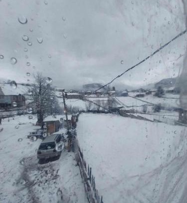 Tsvirmi Apartment | Guesthouse Irma
