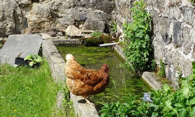 Saint-Jeures Bed & Breakfast | Guestroom Saint-Jeures, studio flat, 2 persons