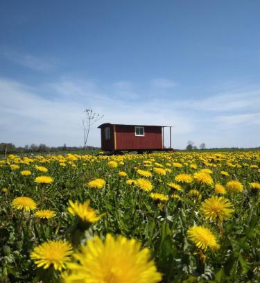 Horby Bed & Breakfast | Gula Vagnen på en äng i lantlig miljö
