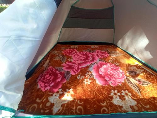 Gulmarg Other | Gurez camping