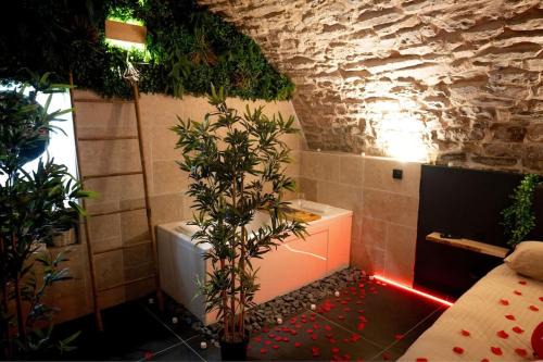 Millau Apartment | Hébergement insolite, Night Secret Groot