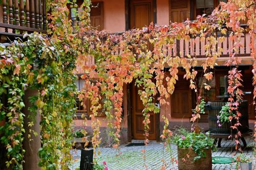 Niedermorschwihr Hotel | Hôtel de l'Ange