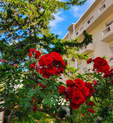 Amelie-les-Bains-Palalda Hotel | Hôtel LA PERGOLA