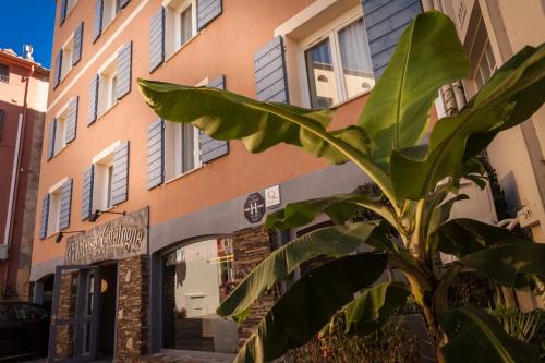 Collioure Hotel | Hôtel Princes de Catalogne