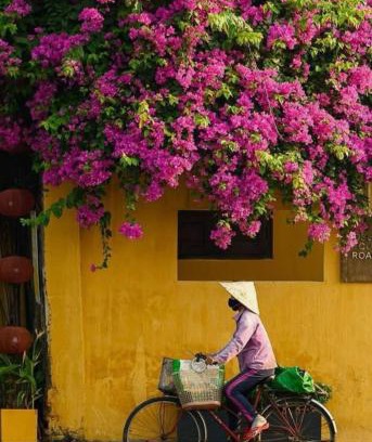 Cam Pho House | Hội An Spirit Homestay