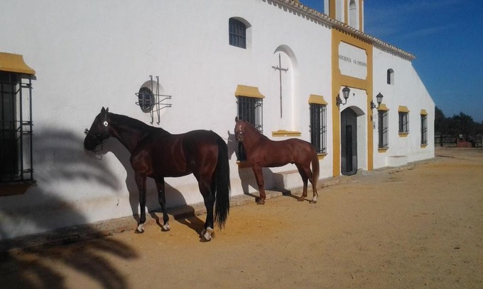 Utrera House | Hacienda La Indiana