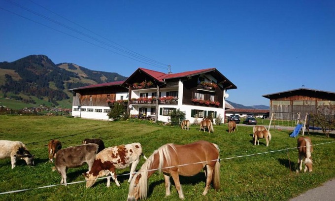 Obermaiselstein Apartment | Haflinger Hof