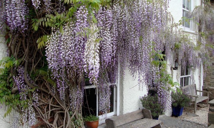 Hay on Wye Apartment | Half Moon House