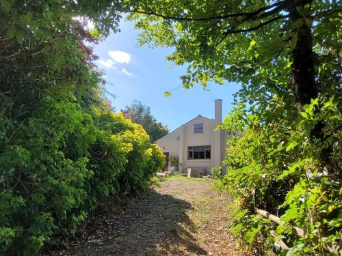 Moretonhampstead House | Halls Cleave, Woodland Retreat, Dartmoor, Devon