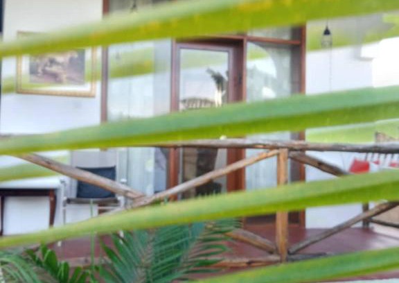 Kendwa Apartment | Hamia Zanzibar Villa