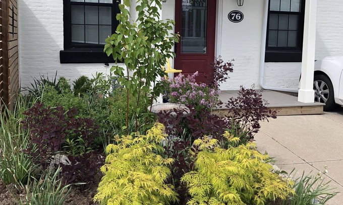 Central Hamilton House | Hamilton Arts district, short walk to waterfront Families and groups. So cosy!