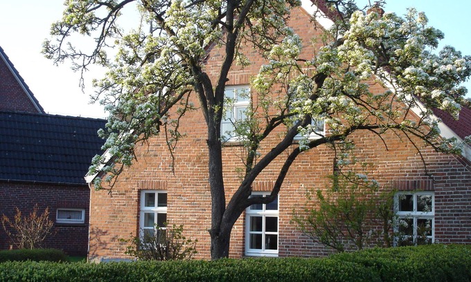 Rysum Cottage | Happy holidays in restored Bauernkate