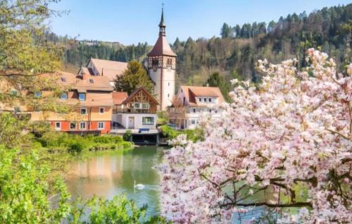 Bad Liebenzell Apartment | Hardy's Apartment Nordschwarzwald