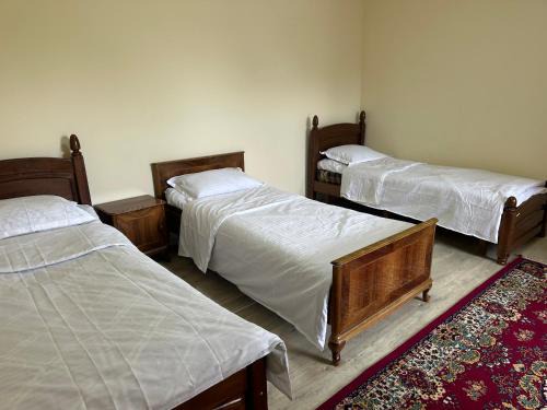 Tamchy Apartment | Harmony