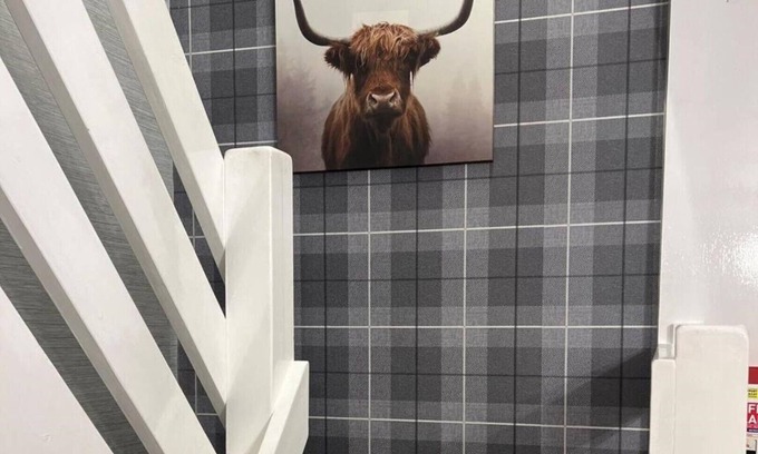 Montrose Apartment | Harris Apartment