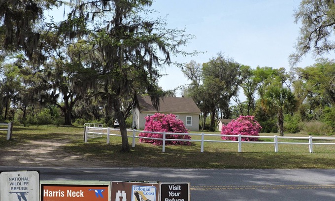 Valona Cabin | Harris Neck National Wildlife Refuge Cabin - Suite A