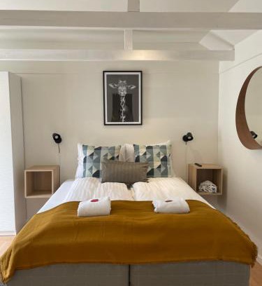 Vester Skerninge House | Hartel House