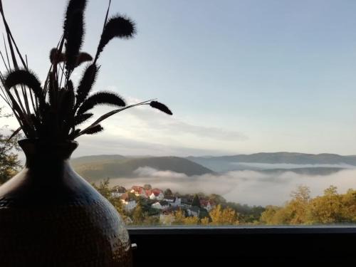 Waldeck Apartment | Haus Blick am Edersee 4P