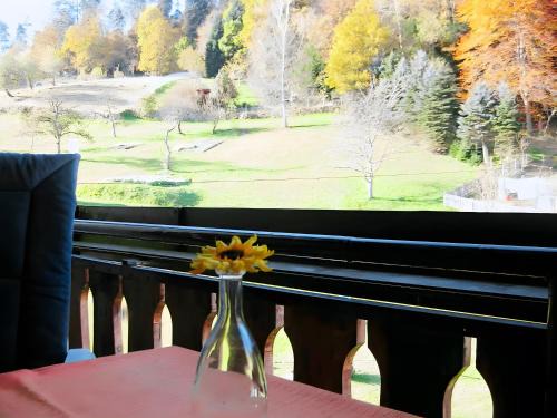 Bad Wildbad Apartment | Haus Mühlgrund