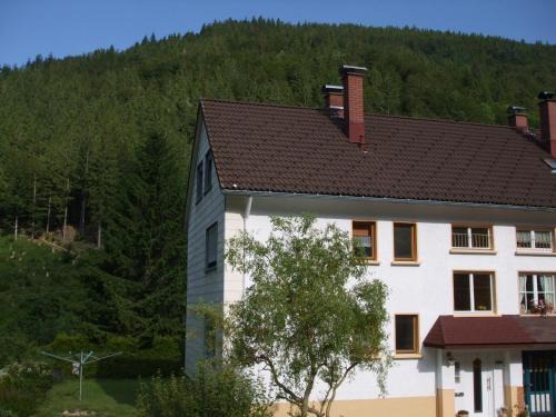 Brandenberg-Fahl Apartment | Haus Post EG-Wohnung