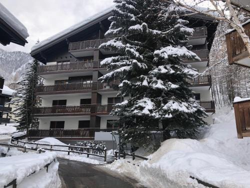 Zermatt Apartment | Haus Vitalis