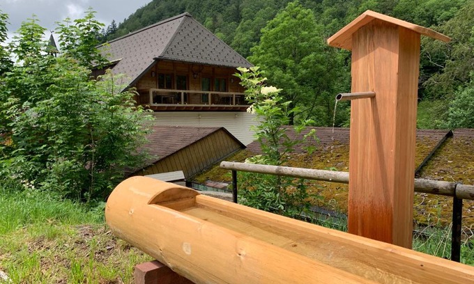 Todtnau Apartment | Haus Wiesengrund-Fahl - FeWo 4