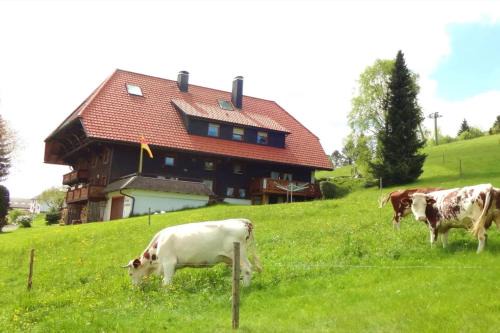 Schonach im Schwarzwald Apartment | Haus Winterberg