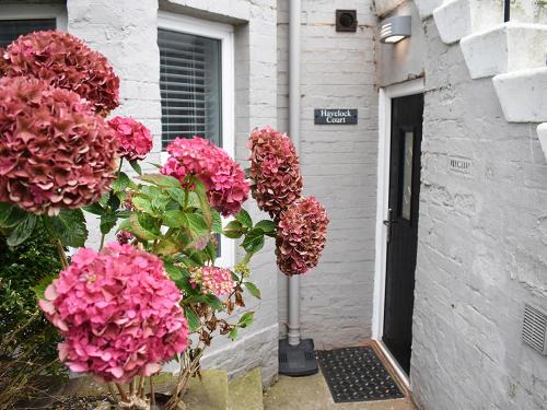 West Cliff Apartment | Havelock Court Apartment Whitby