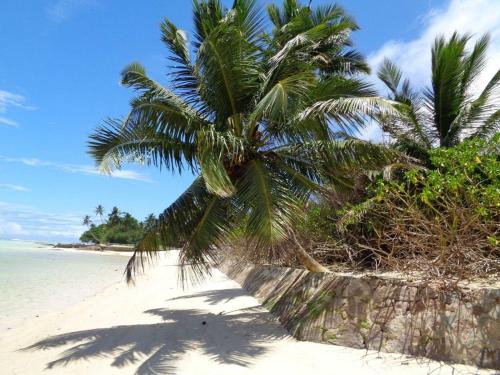 Mahe Island Apartment | HCS Bungalows Turtle Bay Rustic Bungalow