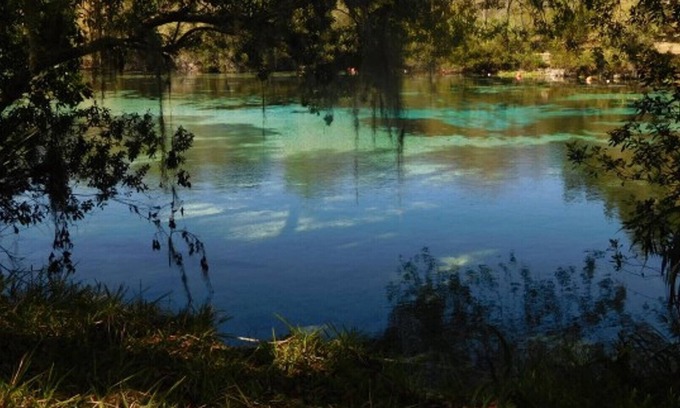 Fort McCoy Cottage | Heart of the Ocala National Forest and Lake Kerr Beautiful & Delightful Lake Cottage