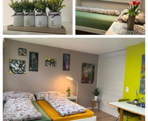 Visp Apartment | HEART Studio Visp Zentrum I ruhig I Single I Paare I Küche