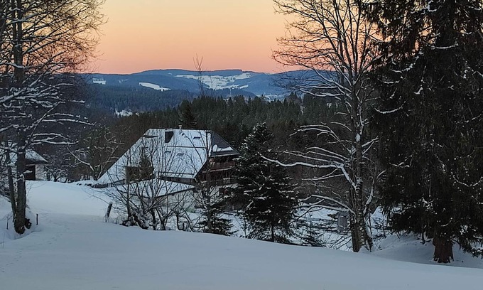 Feldberg Apartment | Heavenly nature 2 - 2-room apartment ground floor in Black Forest style between Titisee and Schluchsee