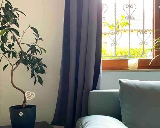 Tiefenbronn Apartment | Helle 1-Zimmer Souterrainwohnung in ruhiger Lage!