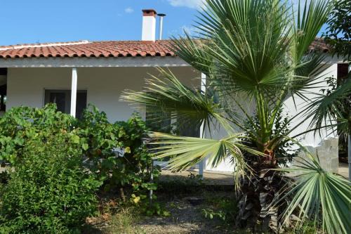 Dio-Olympos Apartment | Hephaestus Appartments Litochoro -A1