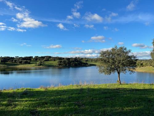 Alcacer do Sal House | Herdade Terra rica