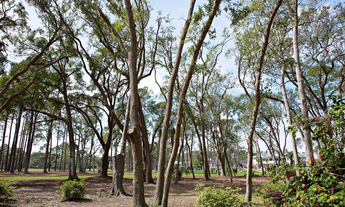 Sea Pines Apartment | Heritage Villas 2279