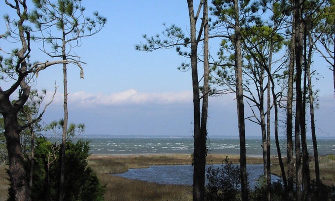 East End House | Heron Now Panoramic Bayfront Only 1.5 Blocks From Nationally Ranked Gulf Beach