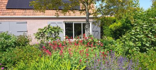 Nieuw- en Sint Joosland Apartment | Het Sonnehuys