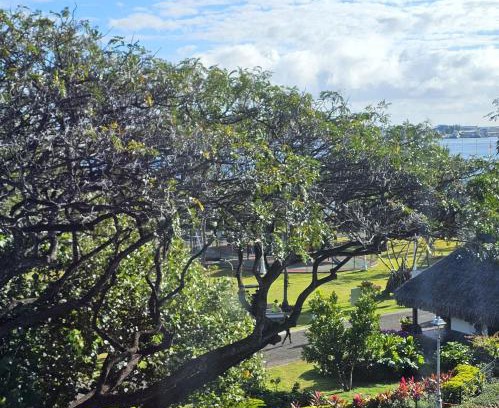 Pa'ofa'i Apartment | Hiatea Lodge