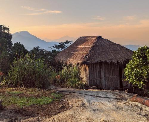 Todupulai House | Hideout Hills