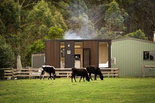 Jeeralang House | High on a Mountain Top by Tiny Away