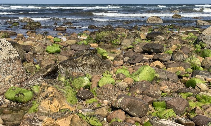 Brora Cottage | Highlands Holiday House in the heart of Coastal Brora