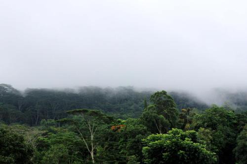 Kandy Hotel | Hillcrest Villa Kandy