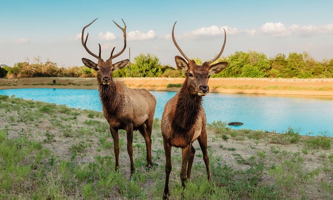 Springtown House | Hilltop lodge with spectacular views and roaming wildlife.